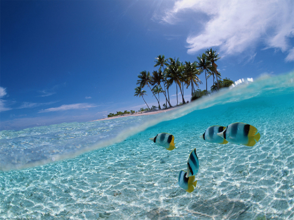 Image from www.osezlebikini.com/en/space-relaxation/dreamy-caribbean-beaches