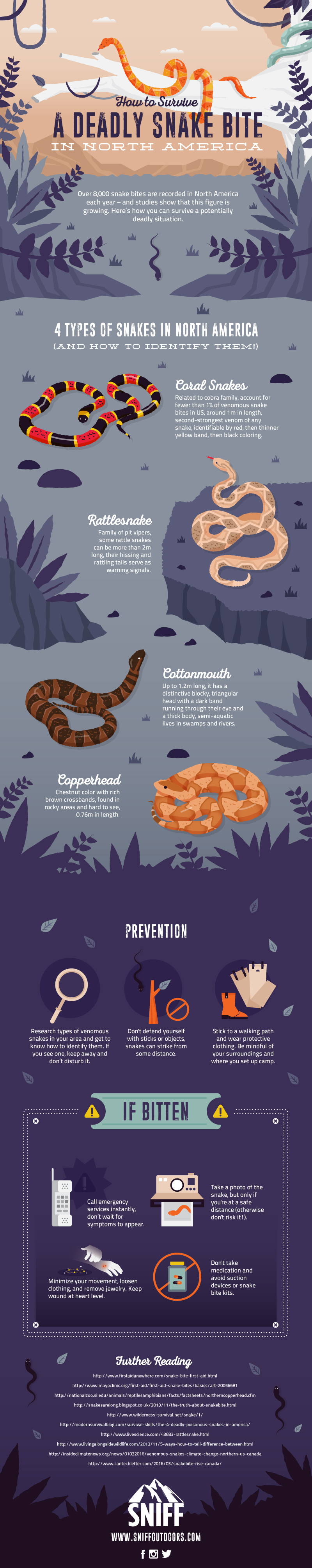 deadly snake infographic