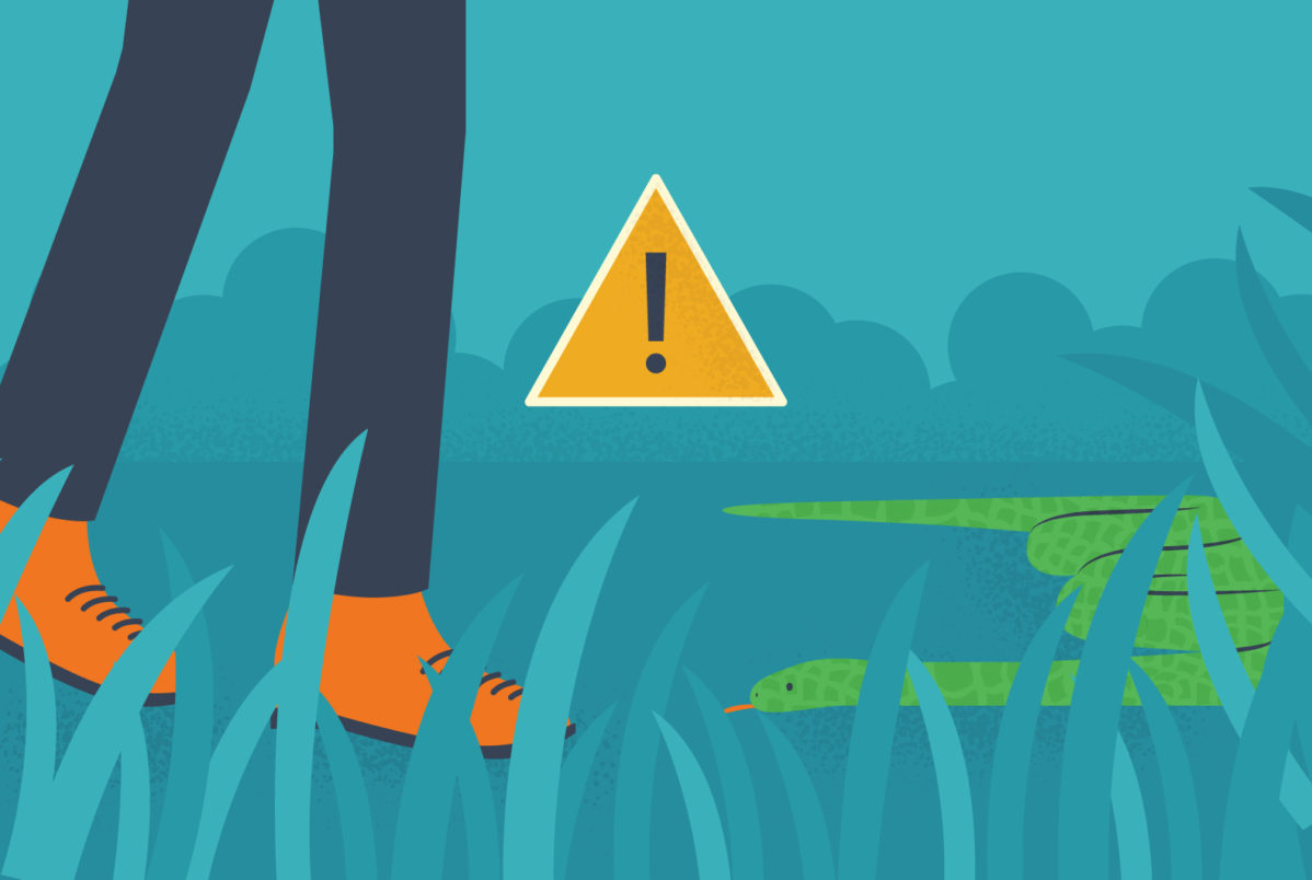 Watch your step for snakes when on the trail